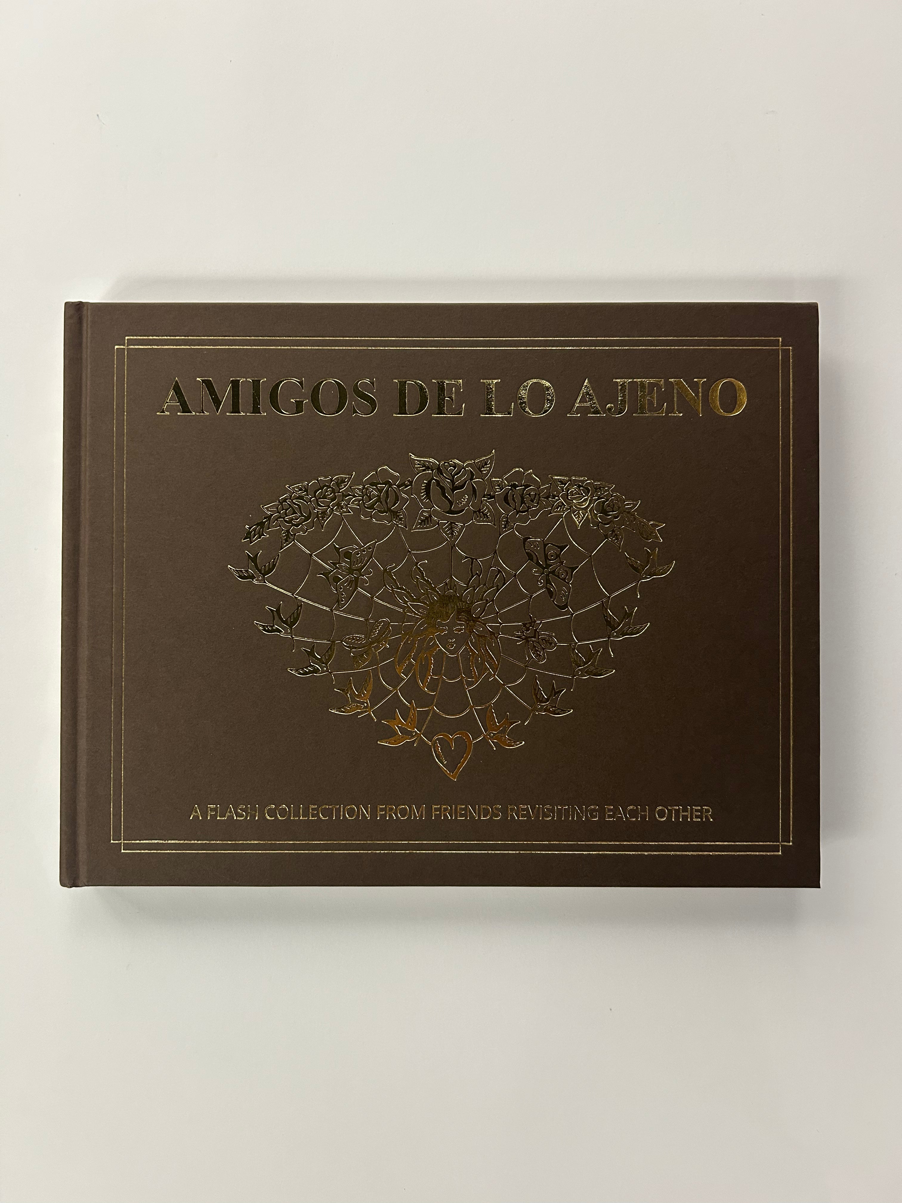AMIGOS DE LO AJENO