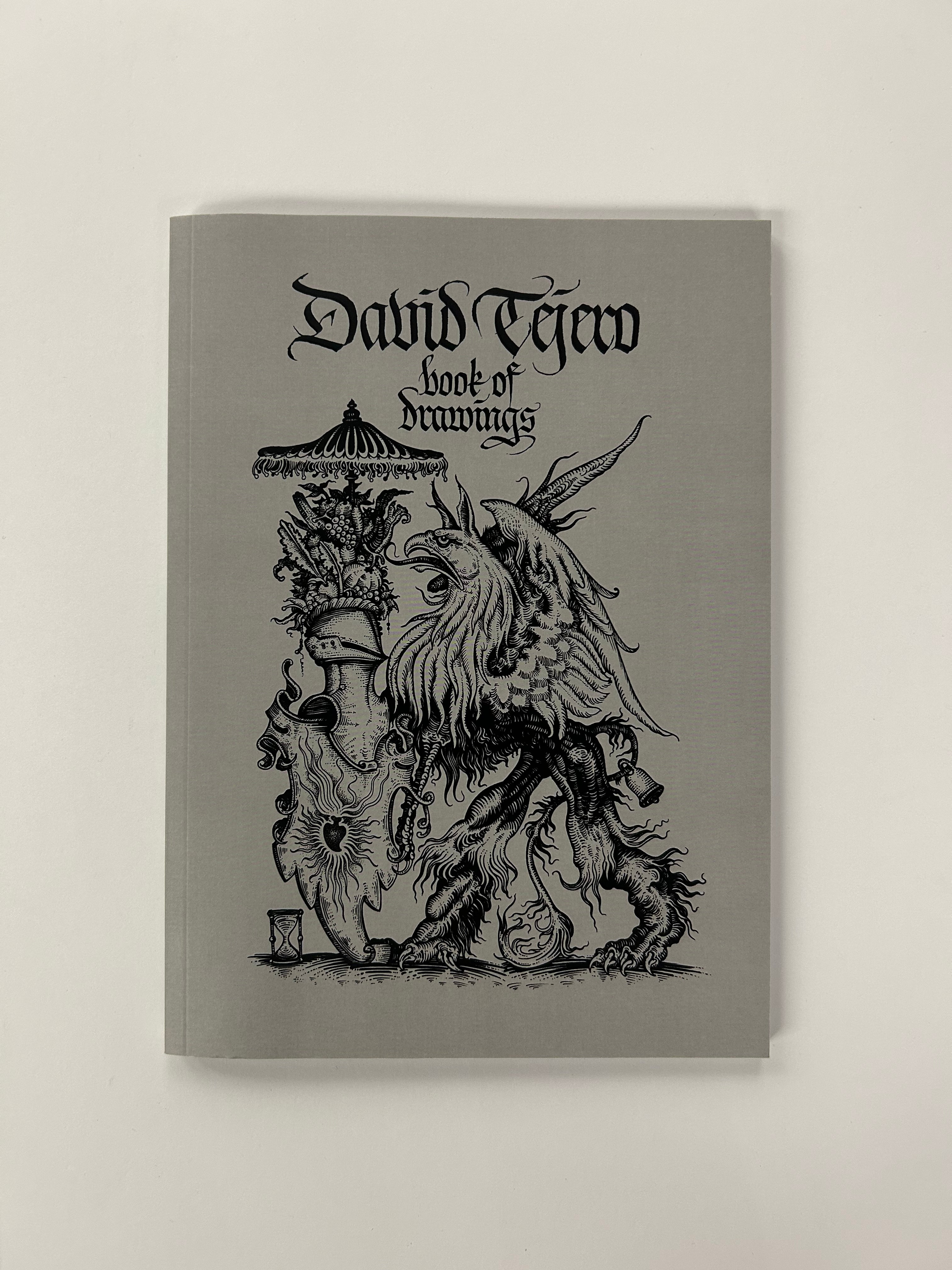 BOOK OF DRAWINGS