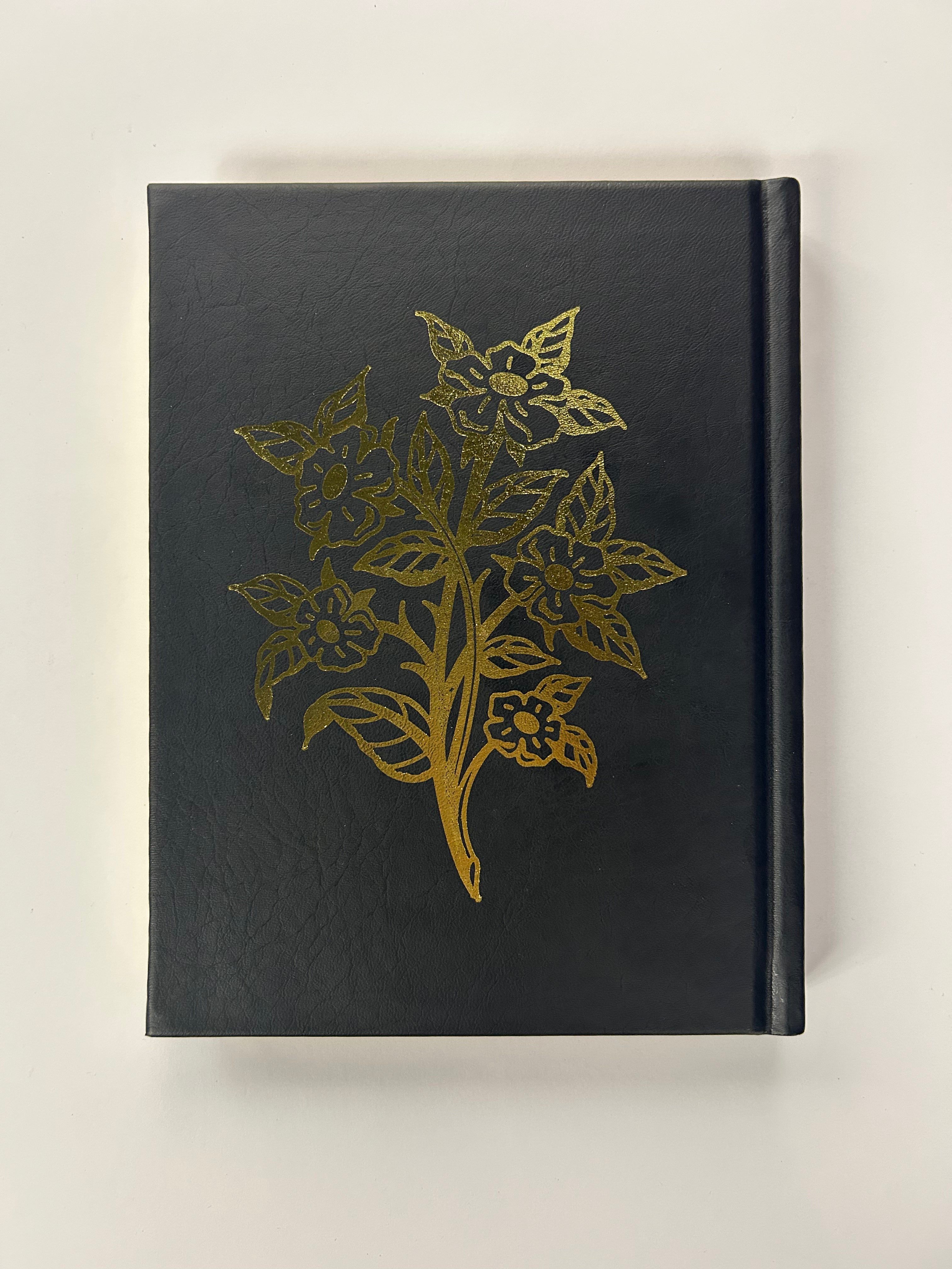 HOLY BIBLE