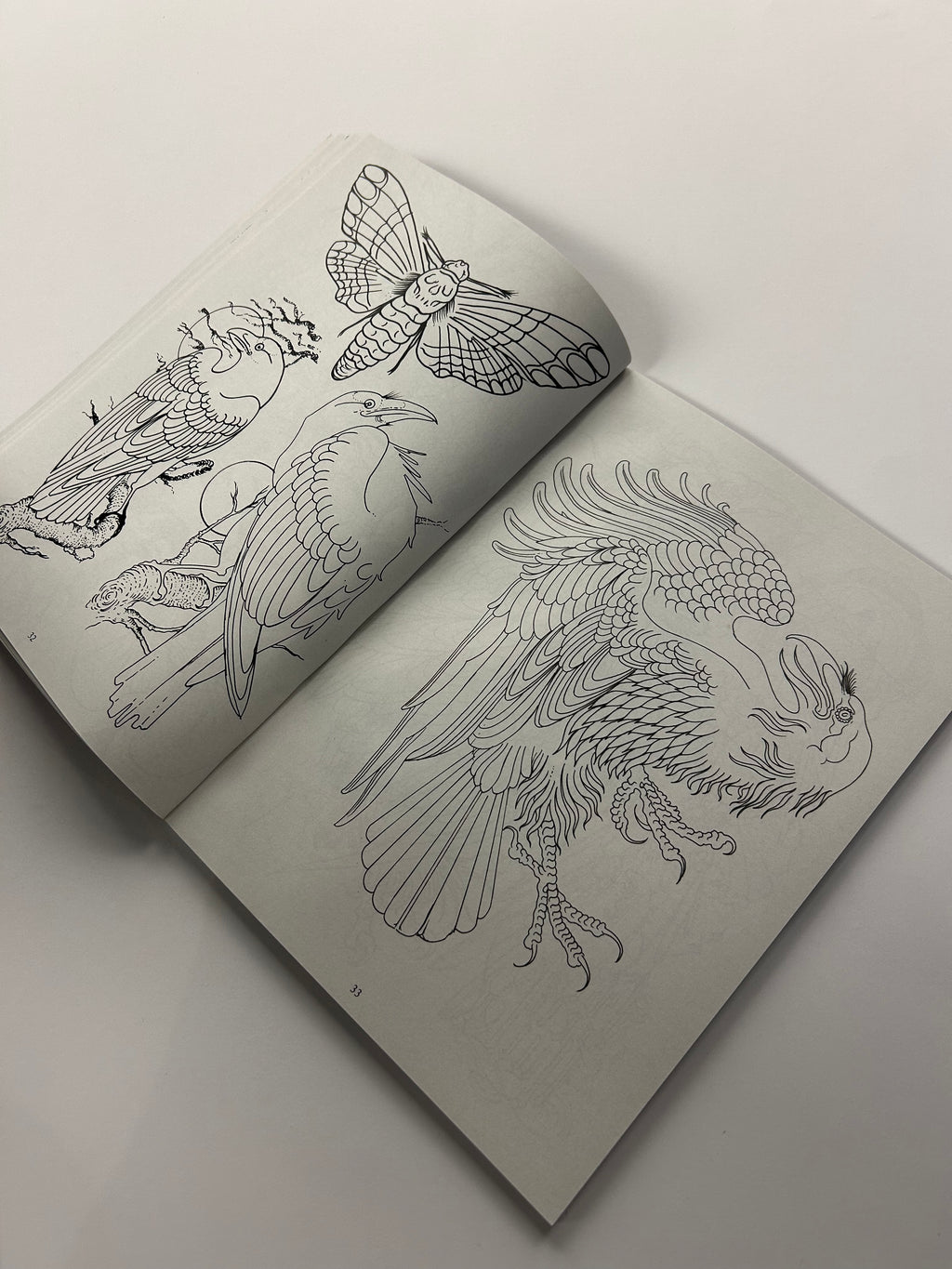 BOOK OF DRAWINGS