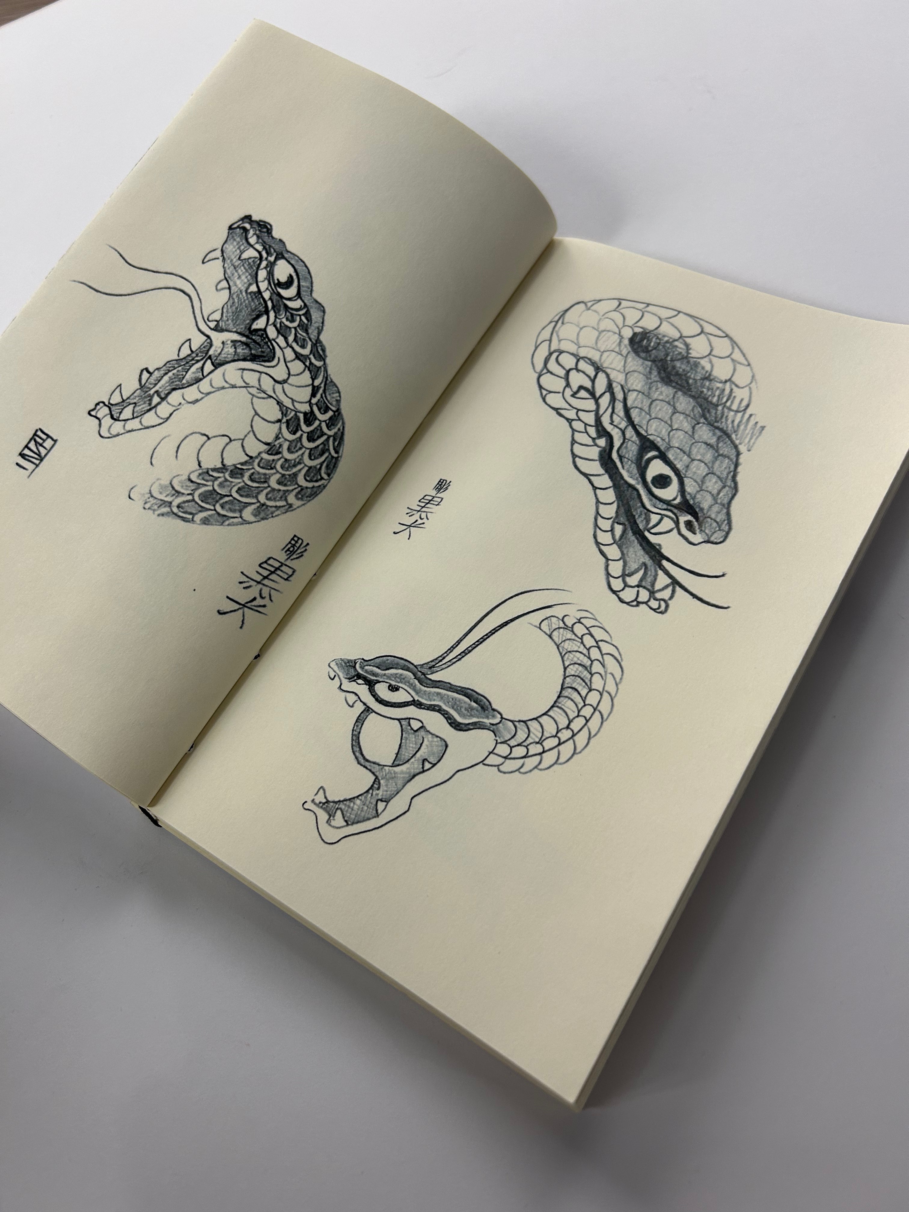 GONZALO GOICOCHEA SNAKES VOL. 1