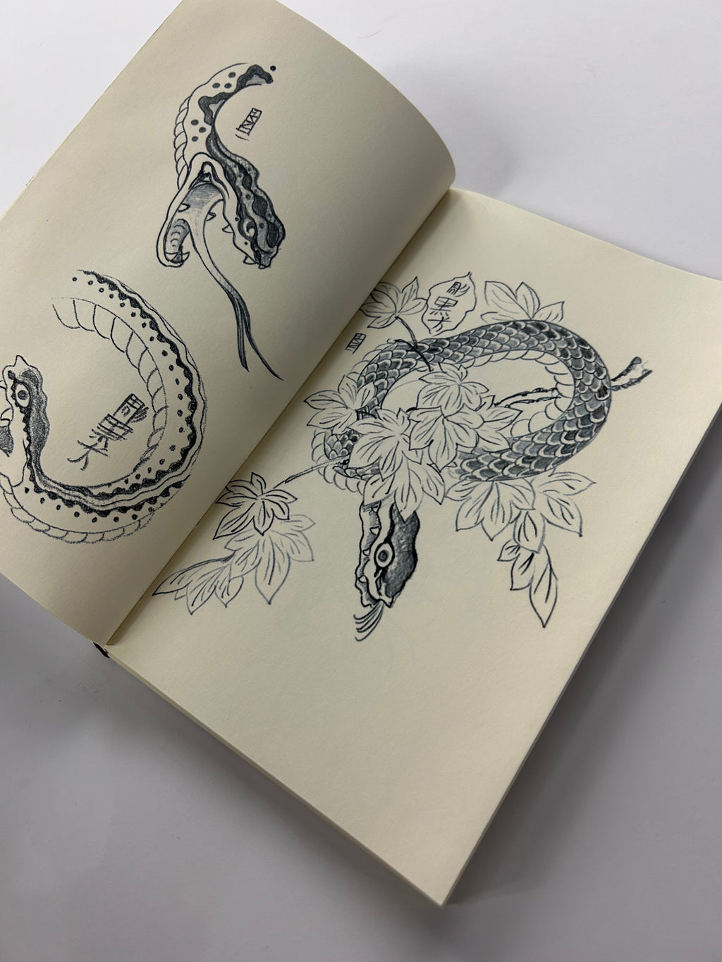GONZALO GOICOCHEA SNAKES VOL. 1