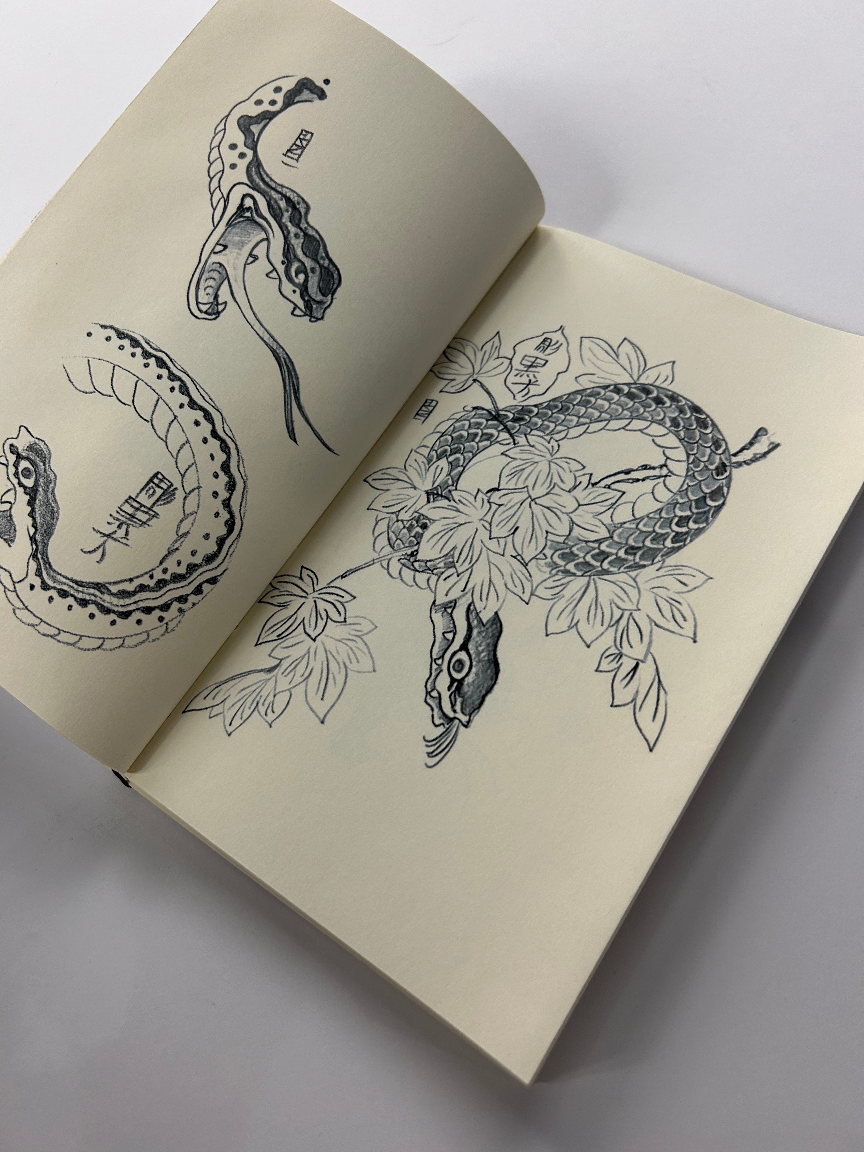GONZALO GOICOCHEA SNAKES VOL. 1