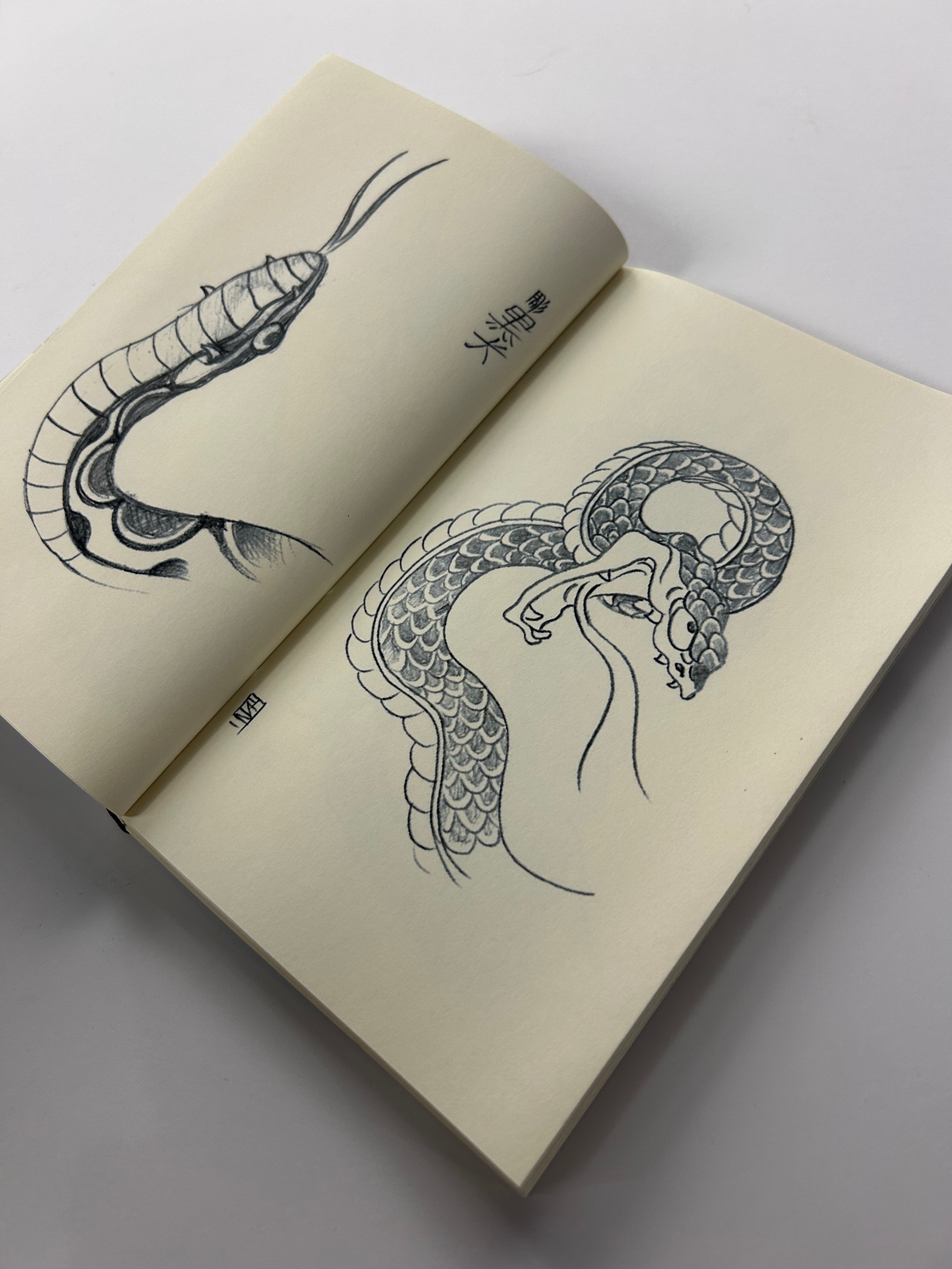 GONZALO GOICOCHEA SNAKES VOL. 1
